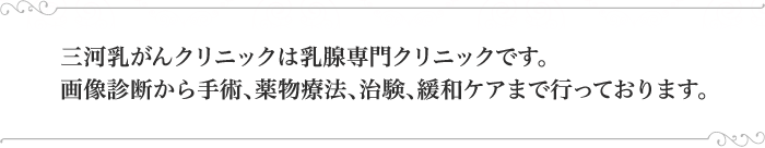 三河乳がんクリニックは乳腺専門クリニックです。画像診断から手術、薬物療法、治験、緩和ケアまで行っております。